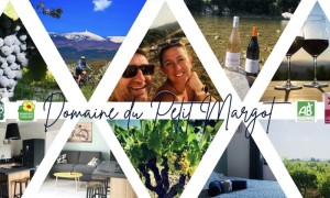Domaine du Petit Margot