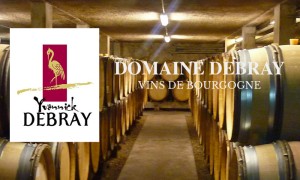 Domaine Debray