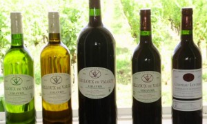 Grands vignobles Loubrie