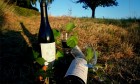 Domaine des Bardes Domaine des Bardes