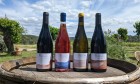 Domaine du Pélican Domaine du Pélican